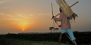 Ein Rattenjäger im Bundesstaat Assam geht mit seinen Werkzeugen im Sonnenuntergang nachhause