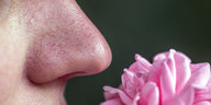 Eine Nase, eine Blume