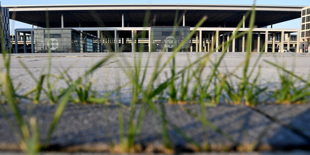 Gras wächst vor dem BER-Terminal