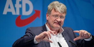 AfD-Chef Meuthen hebt die Hände