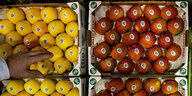 Bio-Äpfel im Supermarkt