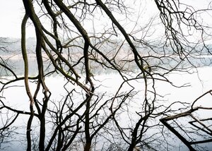 Nackte Baumzweige hängen über dem Ufer des Grabowsees Nackte Baumzweige hängen über dem Ufer des Grabowsees