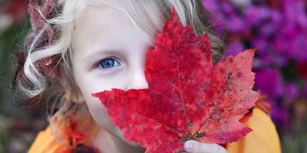 Ein Kind guckt hinter einem rot gefärbten Blatt hervor