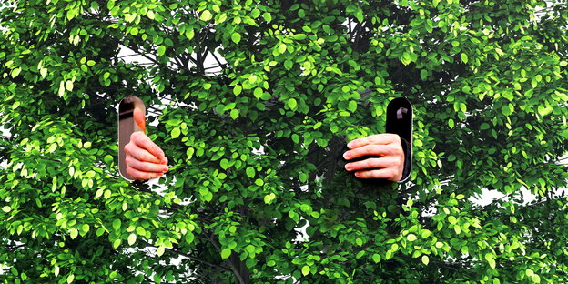 zwei Hände halten ein Schild, auf das das Foto eines Baumes gedruckt ist