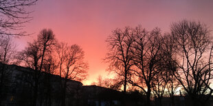 Rosa Himmel über einem Haus