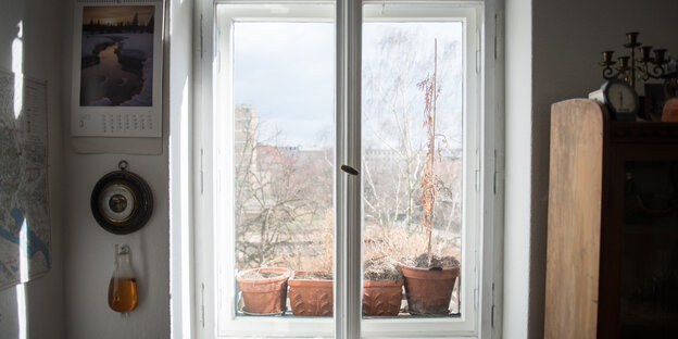 Ein Fenster vor dem Blumenkästen stehen, in denen jetzt, im zeitigen Frühjahr, noch nichts blüht Ein Fenster vor dem Blumenkästen stehen, in denen jetzt, im zeitigen Frühjahr, noch nichts blüht