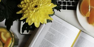 Auf einem Tisch sind ein aufgeschlagenes Buch, eine gelbe Blume, Apfelsinen und eine Laptop-Tastatur