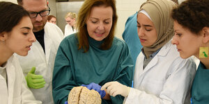 Im Präpariersaal der Medizinischen Fakultät an der Martin-Luther-Universität Halle-Wittenberg betrachten Studierende mit ihrer Dozierenden das Gehirn eines Körperspenders.