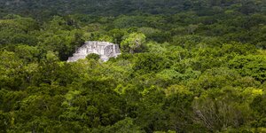 Dschungel mit Maya-Ruine