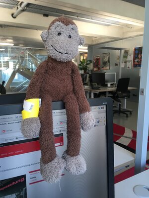 Ein Affe guckt uns an. Er ist nicht echt. Ein Affe guckt uns an. Er ist nicht echt.