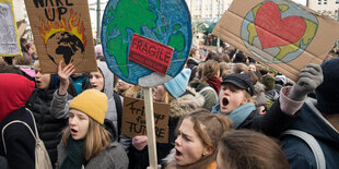 Schüler mit Schildern bei einer "Fridays for Future"-Demonstration.