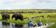 Elefanten an einem Ufer