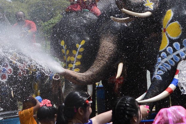Ein Elefant spritzt Wasser