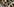 Foto eines Smartphones, das einen Tisch voller Essen fotografiert, der ebenfalls zu sehen