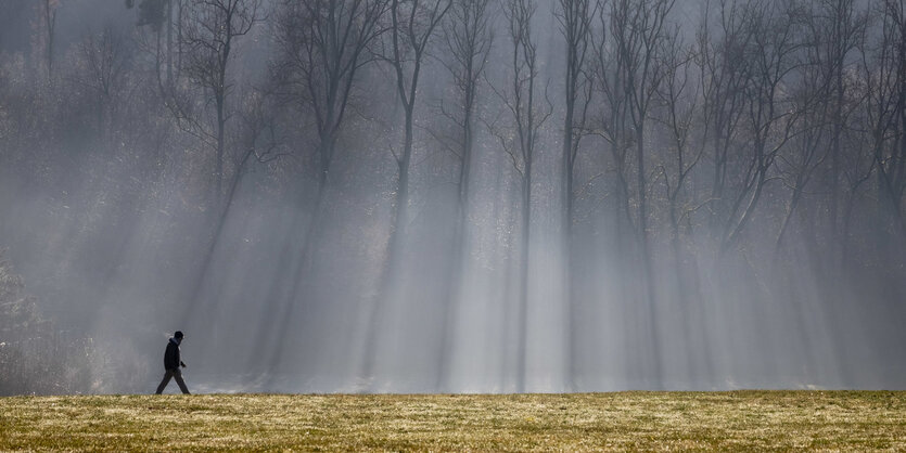 Ein Mann geht im nebligen Wald spazieren