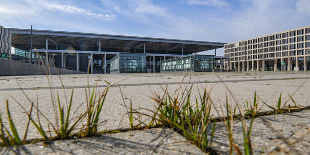 Rasen wächst zwischen Betonplatten am geplanten Großflughafen BER