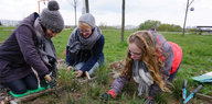 Engagierte des Projekts Urbanität & Vielfalt setzen Wildpflanzen in ein Beet im Kienbergpark in Marzahn