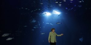Angela Merkel steht vor einem Aquarium