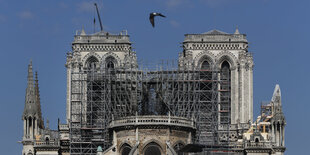 Eine Taube fliegt über die in Bauzäune gehüllte Kathedrale Notre-Dame de Paris