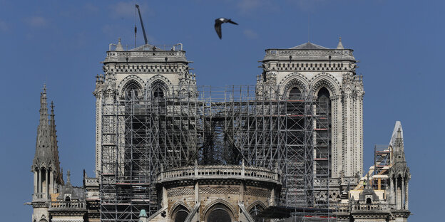 Eine Taube fliegt über die in Bauzäune gehüllte Kathedrale Notre-Dame de Paris