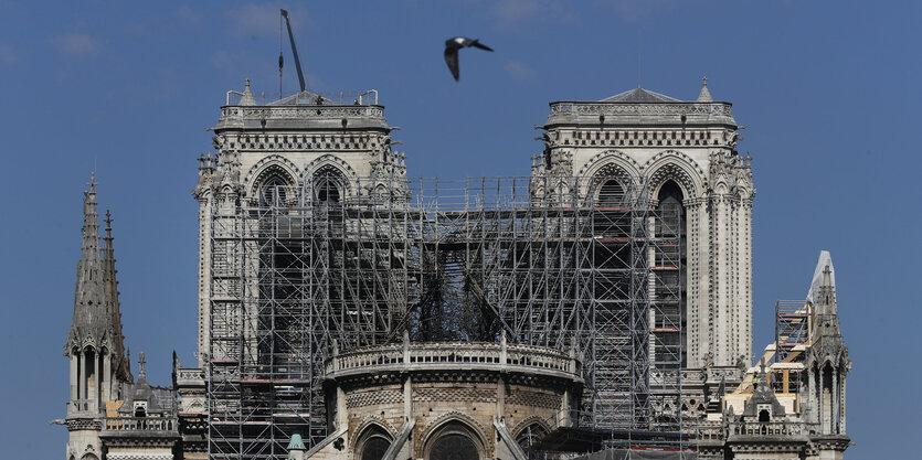 Eine Taube fliegt über die in Bauzäune gehüllte Kathedrale Notre-Dame de Paris