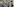 Besucher stehen in einer Ausstellung for Fotografien