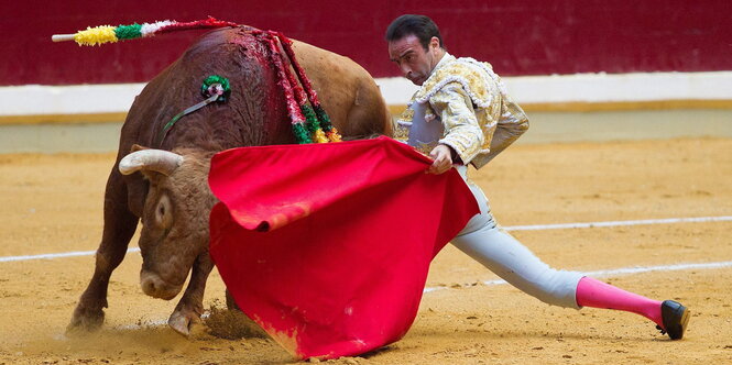 Torero und verletzter Stier