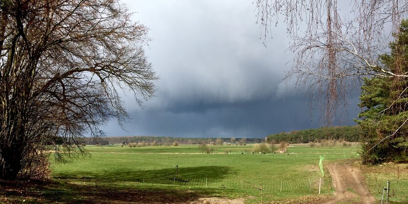 Wiesen und Wald beim Zempow, einem Dorf in Brandenburg