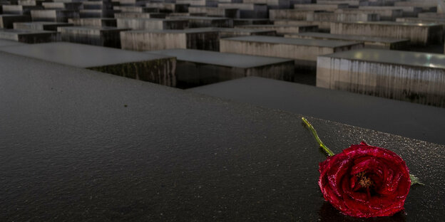 Rote Rose auf einer Holocaust-Mahnmalstele
