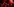 Anhänger der sozialistischen Partei (PSOE) warten vor der Parteizentrale auf die ersten Ergebnisse und schwenken Fahnen