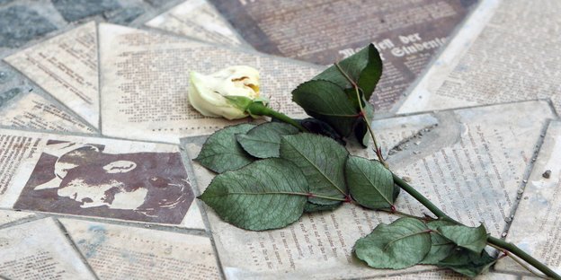 Eine weiße Rose liegt auf steinerner Nachbildung von Flugblättern und Akten