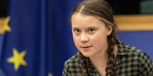 Greta Thunberg spricht an einem Podest, im Hintergrund eine EU-Flagge