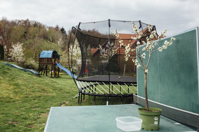 Ein Garten, in dem ein Trampolin und eine Rutschbahn stehen