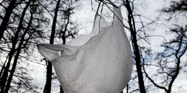 Plastiktüte hängt im Wald