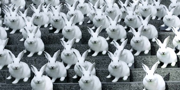 Unzählige Kaninchen sitzen auf einer Treppe