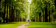 Zwei Spaziergänger gehen im Frühling durch den Berliner Tiergarten