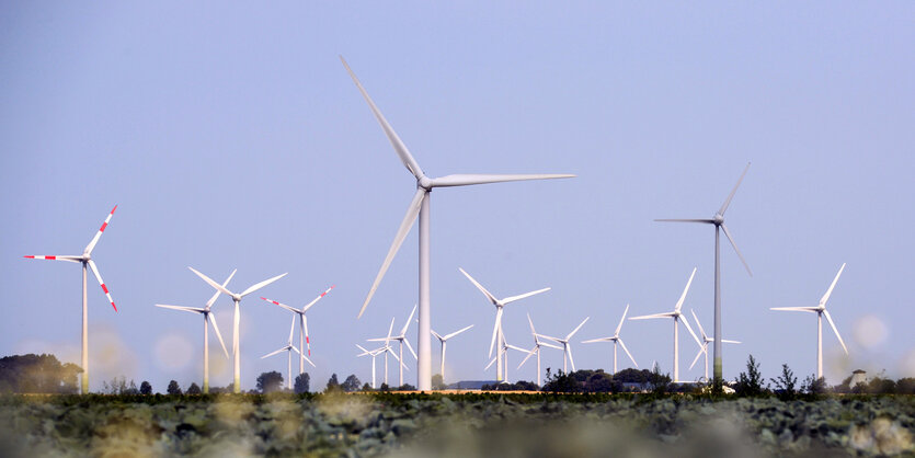 Windräder drehen sich bei Friedrichskoog in Schleswig-Holstein.