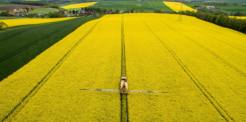 Ein Landwirt fährt mit einem Spezialfahrzeug durch ein Rapsfeld.