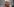 Carsten Sieling hat die Augen geschlossen und greift sich mit der linken Hand an sein Ohr. Er hat einen angespannten Gesichtsausdruck. Die Stirn liegt in Falten.