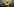 Eine Sonnenblume vor dunklen Wolken