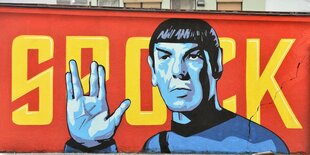 Ein Mann verkleidet als MrSpock aus Star Trek