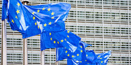 EU-Flaggen vor dem Gebäuder Kommission in Brüssel