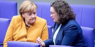 Merkel und Nahles sitzen im Bundestag nebeinander und reden miteinander