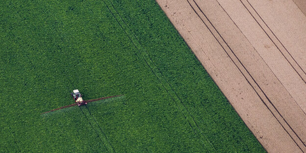 Ein Traktor fährt über ein Maisfeld