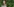 Die grüne Kandidatin Anna Kebschull