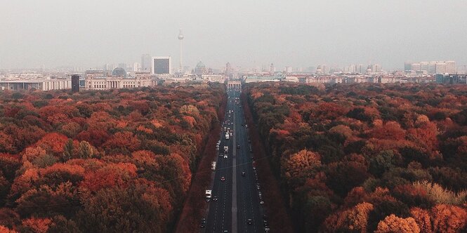 Blick auf Berlin-Mitte in der Morgensonne