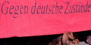 Ein Dackel sitzt vor Transparent mit der Aufschrift: "Gegen deutsche Zustände"