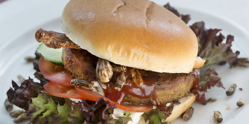 Ein Burger, aus dem gebratene Heuschrecken und andere Insekten hervorgucken