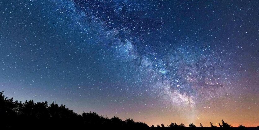 Hell leuchtet die Milchstraße über dunklen Wald