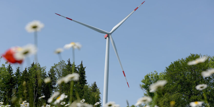 Blumen vor einem Windrad in Baden-Württemberg